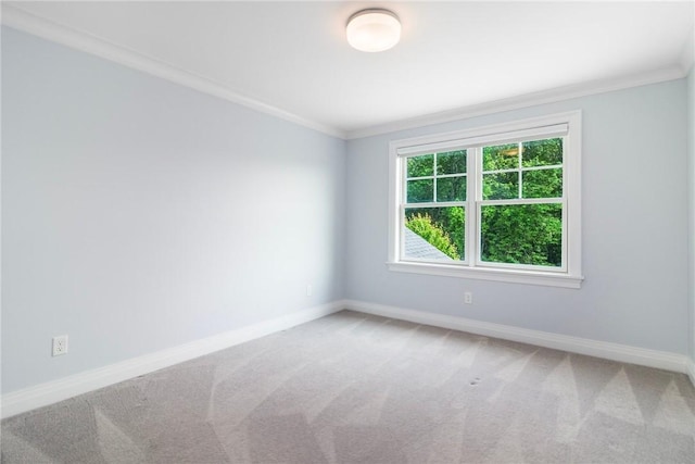 23 Middleberry Ln, East Greenwich, RI 02818 - spare room with crown molding and carpet floors