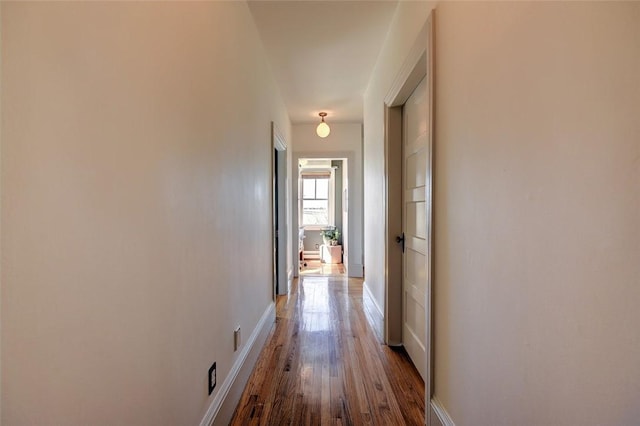 384 Benefit St Unit 2, Providence, RI 02903 - corridor with wood finished floors and baseboards