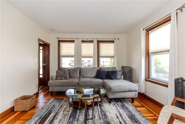 412 E Ave, Pawtucket, RI 02860 - living room with plenty of natural light and light wood-type flooring