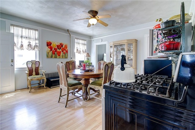 93 Naples Ave, Providence, RI 02908 - dining room with a ceiling fan, plenty of natural light, and light wood-style floors