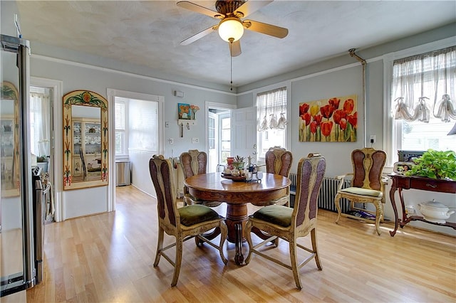 93 Naples Ave, Providence, RI 02908 - dining area featuring light wood-type flooring, a ceiling fan, and plenty of natural light
