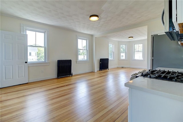 93 Naples Ave, Providence, RI 02908 - kitchen featuring radiator, healthy amount of natural light, ornamental molding, stainless steel appliances, and light wood-style flooring