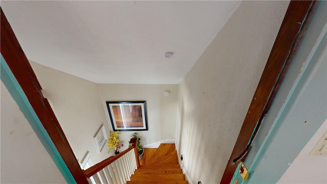 36 Lindy Ave, Providence, RI 02908 - photo 26