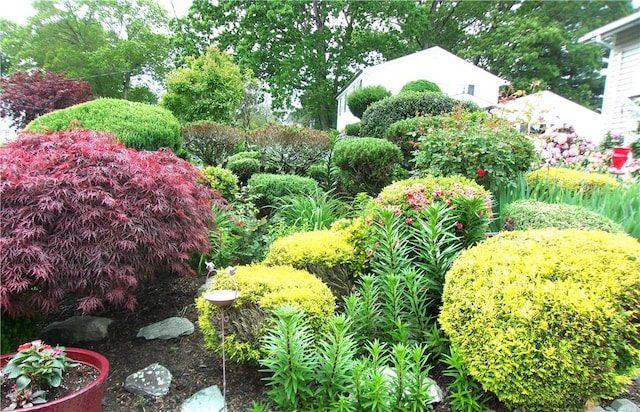 15 Ponderosa Dr, West Warwick, RI 02893 - view of yard