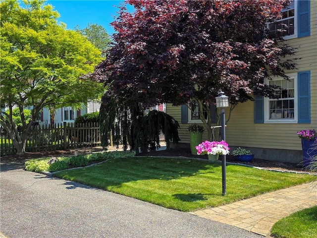 369 Vine St, Pawtucket, RI 02861 - view of property hidden behind natural elements