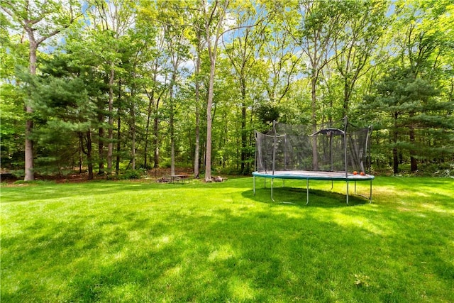 110 Fieldstone Ln, North Kingstown, RI 02874 - view of green lawn with a trampoline