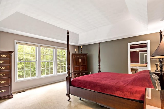 110 Fieldstone Ln, North Kingstown, RI 02874 - bedroom featuring a tray ceiling and carpet