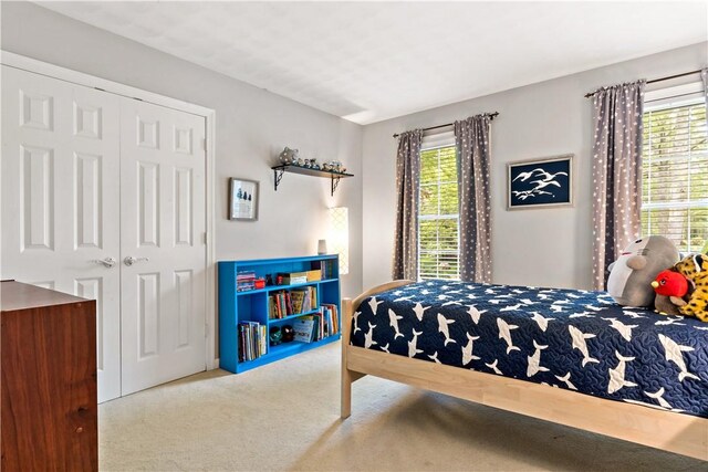 110 Fieldstone Ln, North Kingstown, RI 02874 - bedroom with carpet flooring and a closet