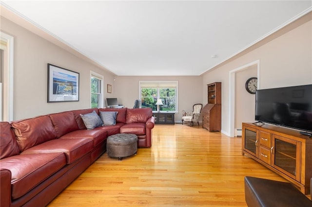 831 N Quidnessett Rd, North Kingstown, RI 02852 - living room featuring light wood-style flooring