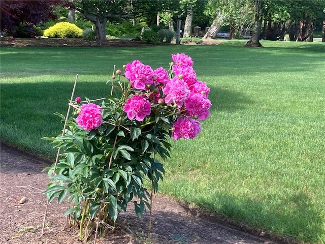 831 N Quidnessett Rd, North Kingstown, RI 02852 - view of green lawn