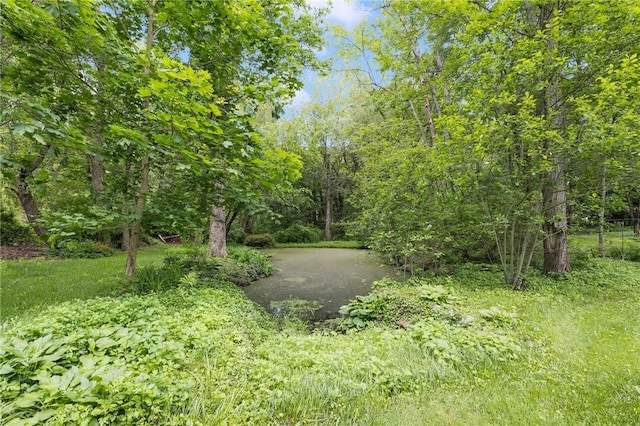 48 Nottingham Dr, Scituate, RI 02831 - view of wooded area