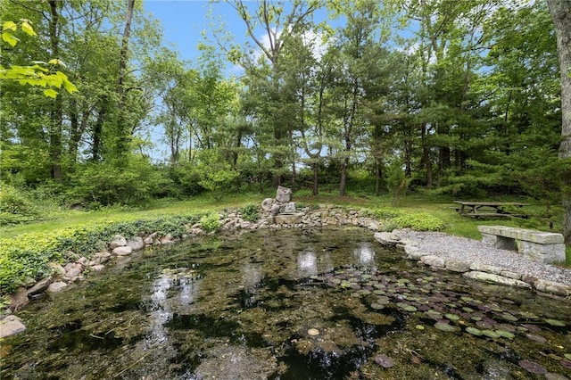 48 Nottingham Dr, Scituate, RI 02831 - view of yard