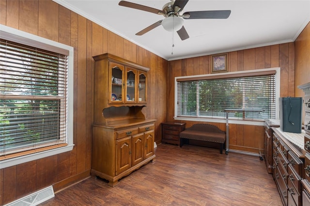32 N Clarendon St, Cranston, RI 02910 - home office with crown molding, a ceiling fan, wooden walls, and dark wood-type flooring