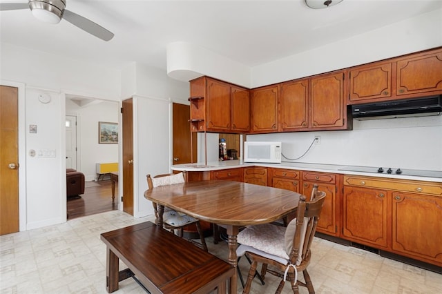 32 N Clarendon St, Cranston, RI 02910 - kitchen featuring white microwave, under cabinet range hood, light floors, and brown cabinets