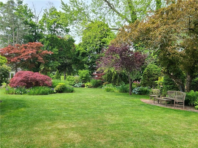 6 Humes Ave, Warwick, RI 02889 - view of green lawn with a patio area