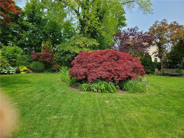 6 Humes Ave, Warwick, RI 02889 - view of green lawn