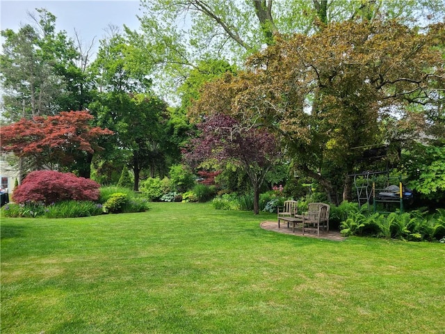 6 Humes Ave, Warwick, RI 02889 - view of green lawn with a patio area