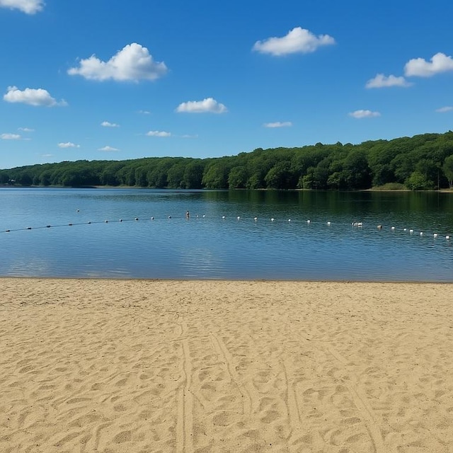 19 Woodsia Rd, Narragansett, RI 02874 - water view with a forest