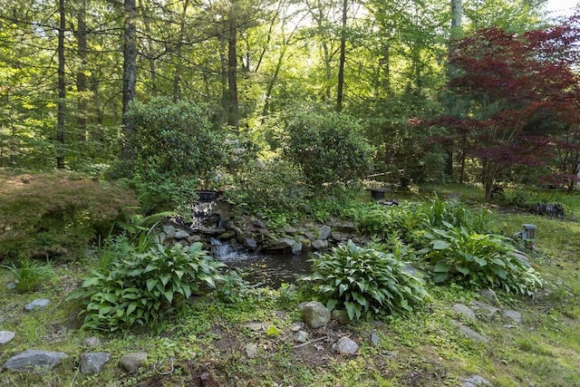 38 Williams Rd, Smithfield, RI 02917 - view of wooded area