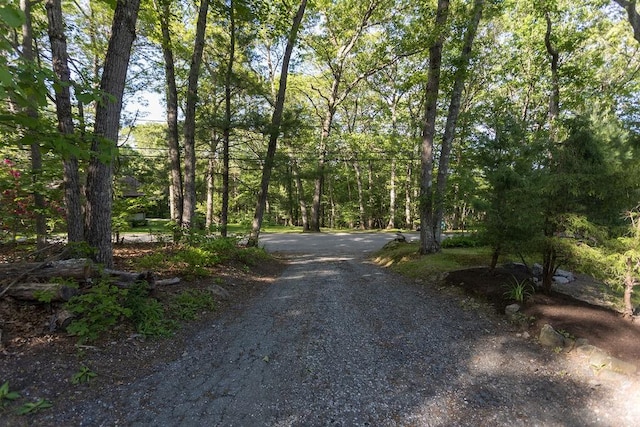 38 Williams Rd, Smithfield, RI 02917 - view of road