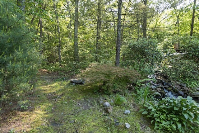 38 Williams Rd, Smithfield, RI 02917 - view of woods