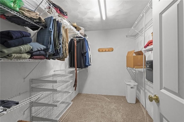 510 Westmoreland Ln, North Kingstown, RI 02874 - walk in closet with carpet floors