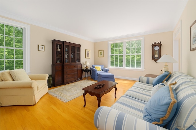 43 Kayla Ricci Way, Exeter, RI 02874 - living area with healthy amount of natural light, wood finished floors, crown molding, and baseboards