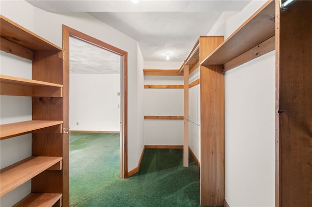 500 E Greenwich Ave Unit 108, West Warwick, RI 02893 - walk in closet featuring carpet floors