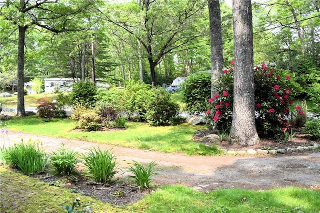 19 Jacob Perry Dr, Charlestown, RI 02831 - view of yard