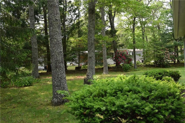 19 Jacob Perry Dr, Charlestown, RI 02831 - view of yard