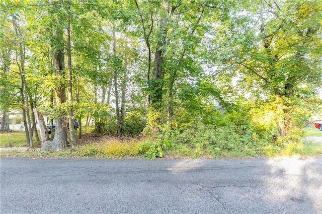 281 Richardson Rd, Coventry, RI 02816 - photo 23