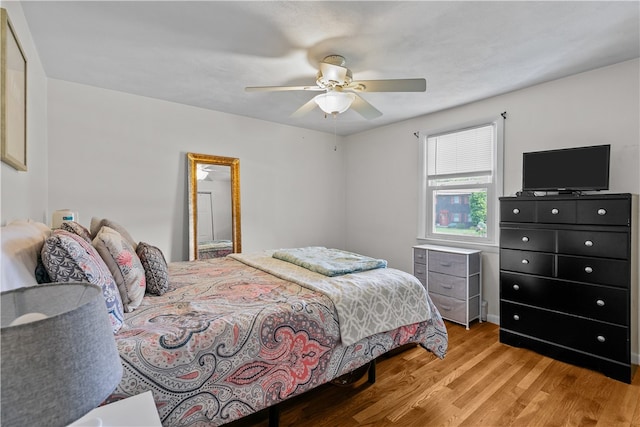 386 Mishnock Rd, West Greenwich, RI 02817 - bedroom featuring light wood-type flooring and ceiling fan