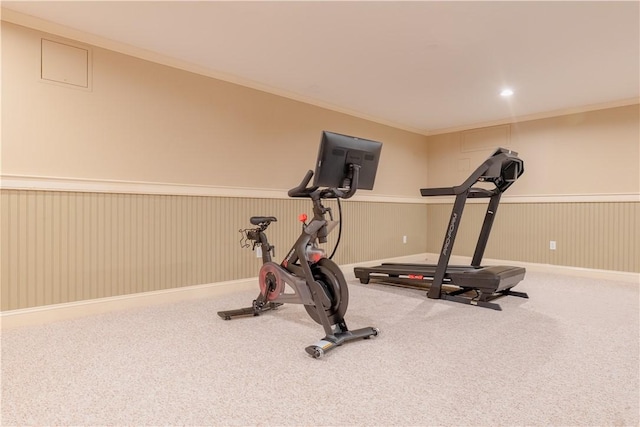 62 James Ct, Portsmouth, RI 02871 - exercise room with carpet floors and a wainscoted wall