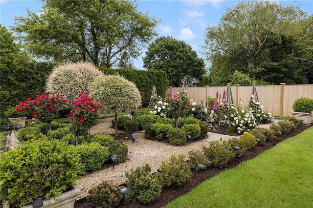 62 James Ct, Portsmouth, RI 02871 - view of yard