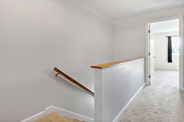 47 Morgan Ave Unit 45, Johnston, RI 02919 - stairs with carpet floors and baseboards