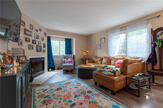 15 Loyalist Dr Unit 15B, Uxbridge, MA 01569 - living area featuring wood finished floors and a fireplace