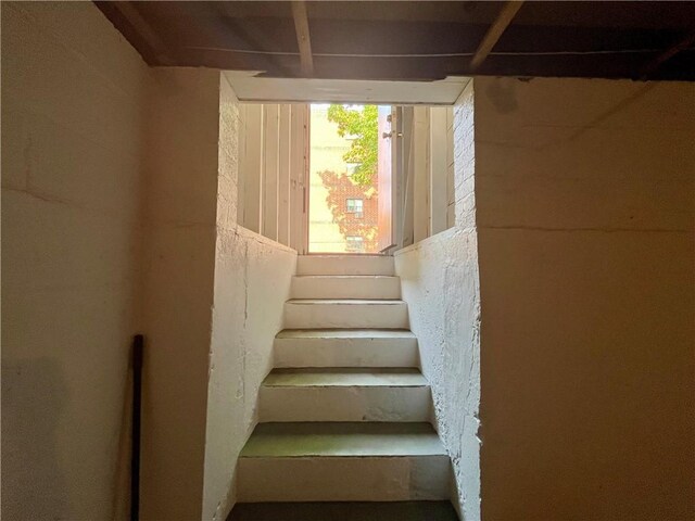 457 Douglas Ave, Providence, RI 02908 - photo 26