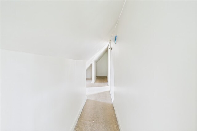 33 Adelaide Ave, Providence, RI 02907 - photo 16
