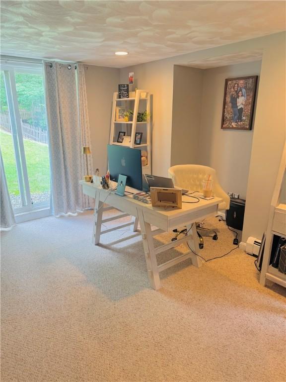 20 Canton Ct, Cranston, RI 02921 - office area with carpet flooring and a baseboard radiator