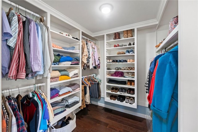 31 Peaceful Way, Tiverton, RI 02878 - walk in closet with wood-type flooring