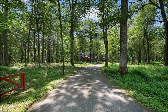 350 Austin Farm Rd, Exeter, RI 02822 - view of road featuring a view of trees