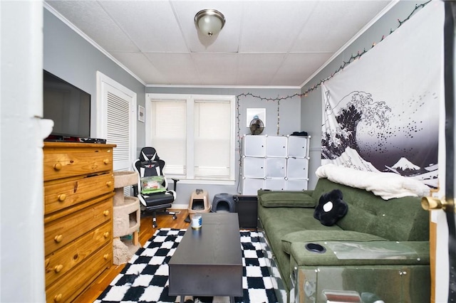 62 School St, Fall River, MA 02720 - living room featuring ornamental molding, tile patterned floors, and a drop ceiling