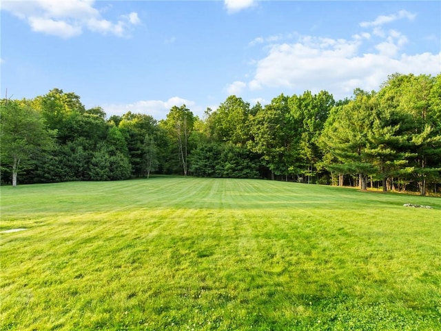 162 Pine Orchard Rd, Glocester, RI 02814 - view of grassy yard