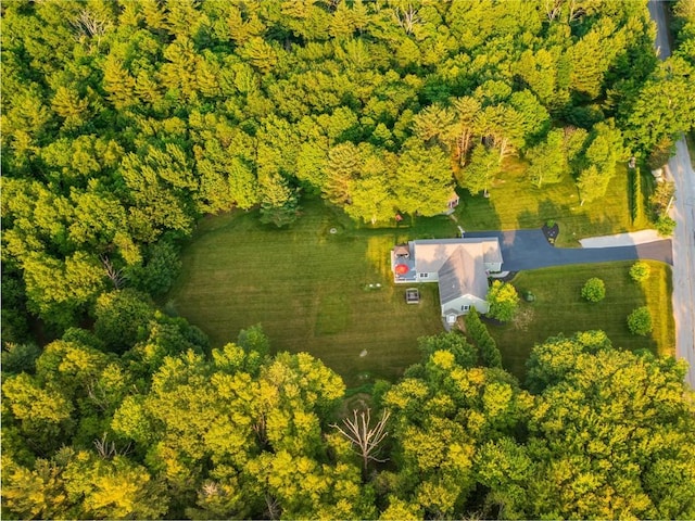 162 Pine Orchard Rd, Glocester, RI 02814 - view from above of property with a heavily wooded area
