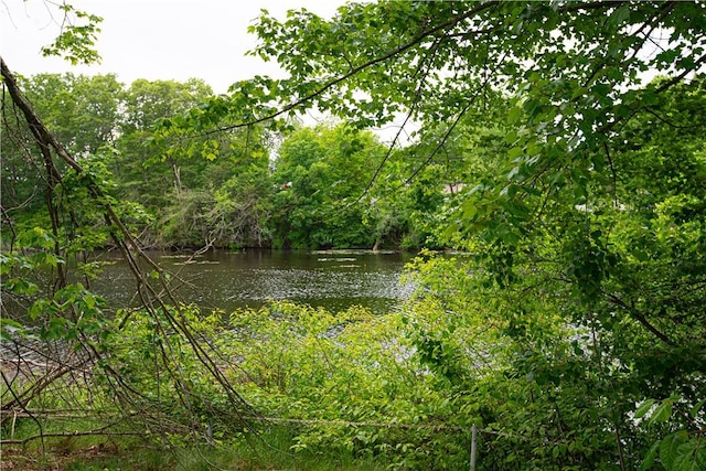 34 Zambarano Ave, North Providence, RI 02911 - view of wooded area featuring a water view