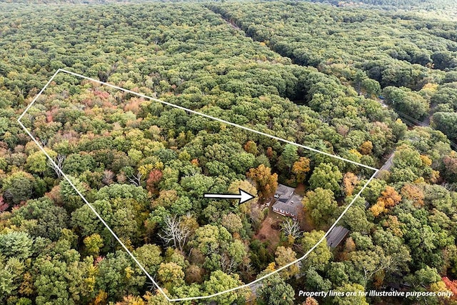 137 Rocky Hill Rd, Scituate, RI 02857 - aerial overview of property's location with a heavily wooded area and property boundaries highlighted