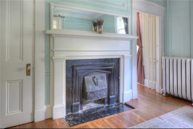 24 Old Beach Rd, Newport, RI 02840 - detailed view of radiator heating unit, a fireplace with flush hearth, wood finished floors, and a decorative wall