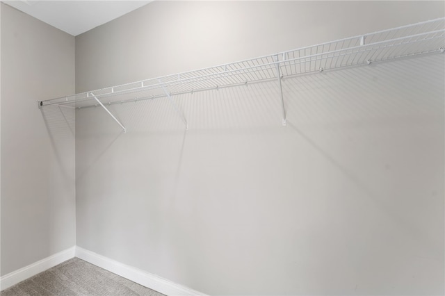 6 Jupiter Ln Unit B, Richmond, RI 02898 - walk in closet with carpet flooring