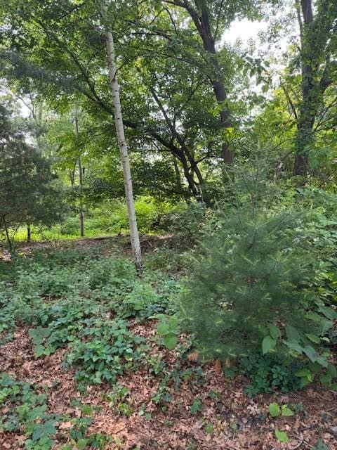 0 Elmwood Ave, Warwick, RI 02888