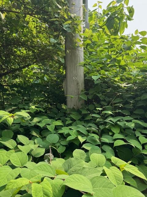 0 Elmwood Ave, Warwick, RI 02888